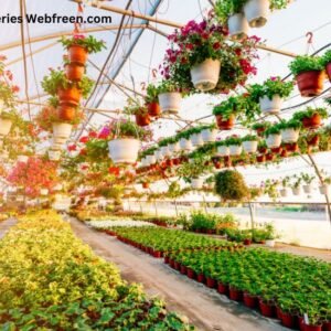 The Benefits of Plant Nurseries Webfreen.com