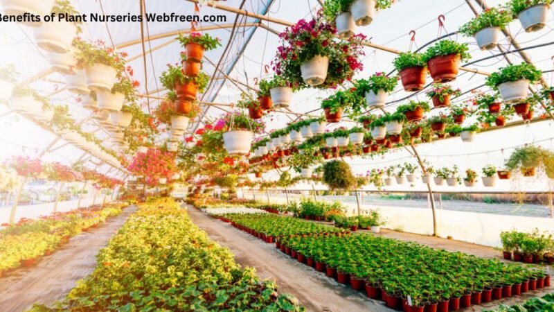 The Benefits of Plant Nurseries Webfreen.com