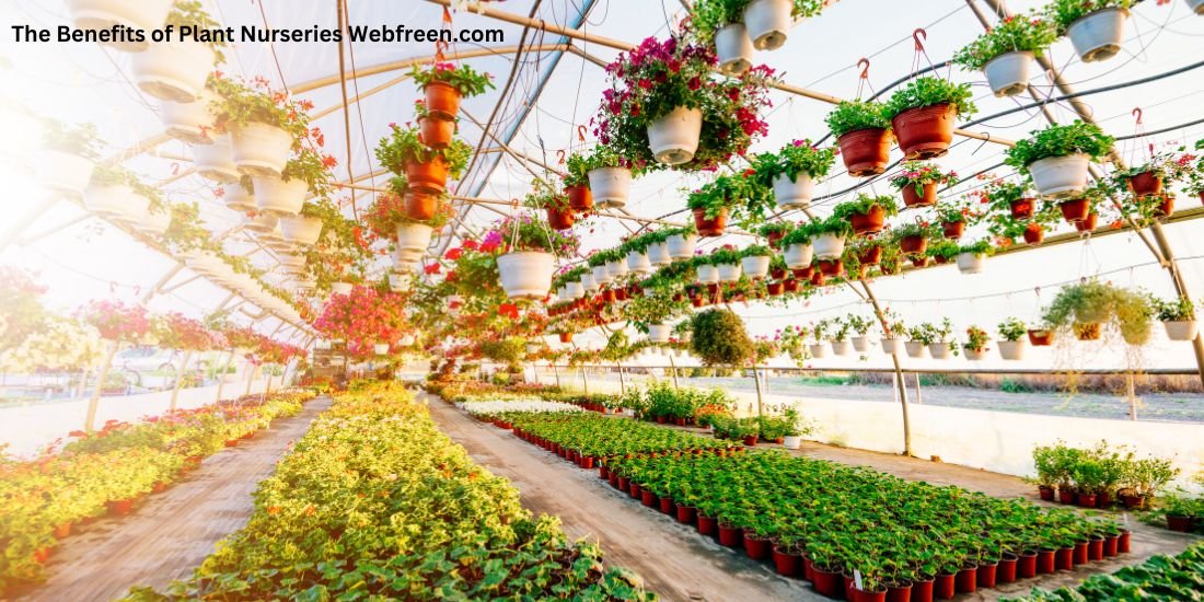 The Benefits of Plant Nurseries Webfreen.com