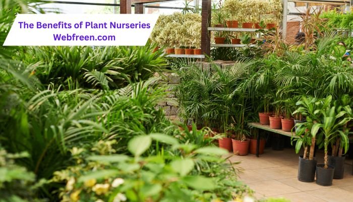 The Benefits of Visiting a Plant Nursery