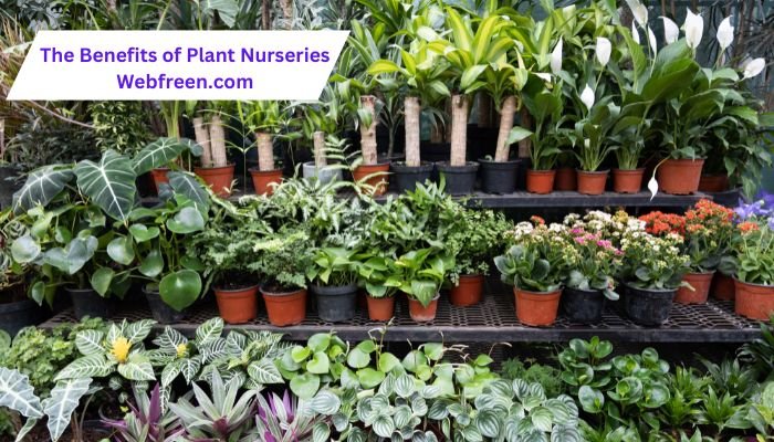 The Benefits of Plant Nurseries Webfreen.com