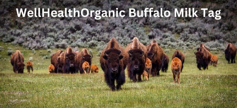 Wellhealthorganic Buffalo Milk Tag