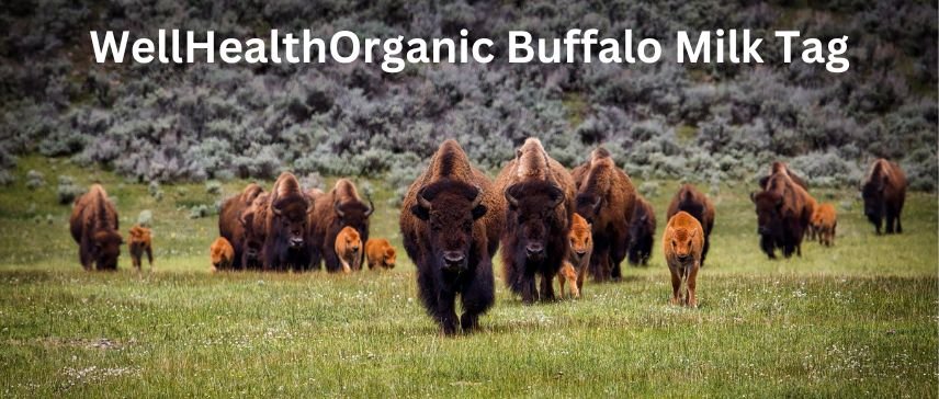 Wellhealthorganic Buffalo Milk Tag