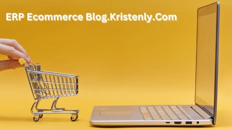 ERP Ecommerce Blog.Kristenly.Com: Takes Your Business to Another Level